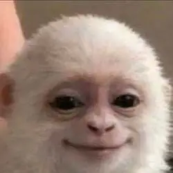 Albert the Monkey (ALBERT)