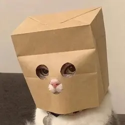 Anonymous Cat (ZCAT) Price Prediction