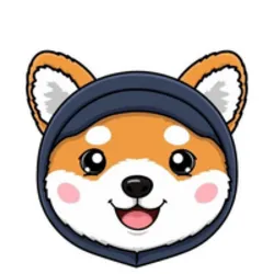 Asteroid Shiba (ASTEROID)