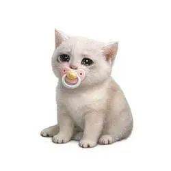Baby Cash Cat (BABYCASHCAT)