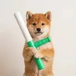 baton (BATON) Price Prediction