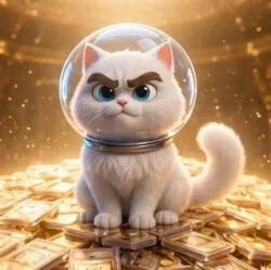cardcat