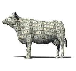 Cash Cow (CASHCOW)