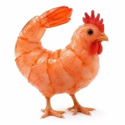 chicken shrimp (CS) Price Prediction