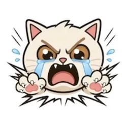 CRASH CAT (CRASHCAT)