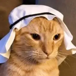 Crude Cat (CRUDECAT)