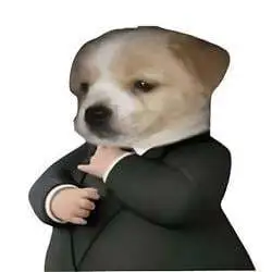 Dog in a suit (SUIT)