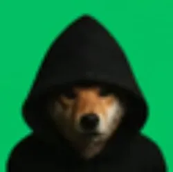 Dog In Hood (DIH)