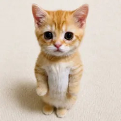 el gato (GATO)