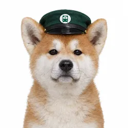 hachi
