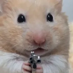 hamster wif gun (HWG) Price Prediction