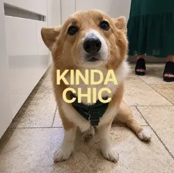 Kinda Chic (CHIC) Price Prediction