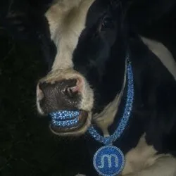 Memory cow Moo (MOO) Price Prediction