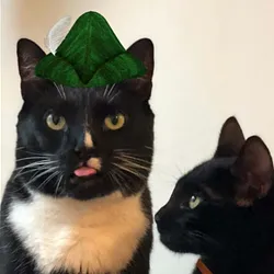 MEOWOOD (MEOWOOD)