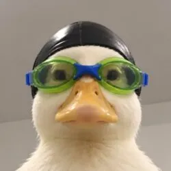 nasduck