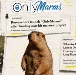 OnlyMarms (ONLYMARMS) Price Prediction