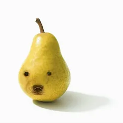 Pearchua (PEARCHUA)