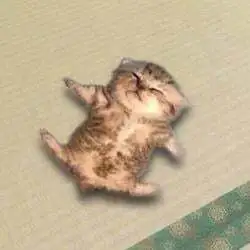relaxed cat (RELAX) Price Prediction