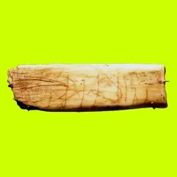 Robin Hood Cave Horse (CAVEHORSE)