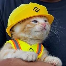 施工猫 (Construction Cat) (SUE) Price Prediction