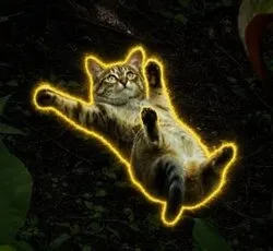 Sliding Cat (滑る猫)