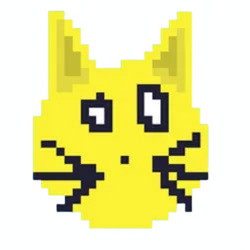 Solana Cat (SOLCAT)
