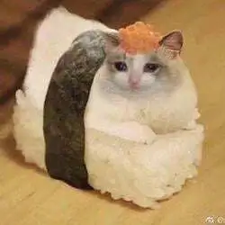 Sushi Cat (SUSHICAT)
