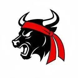 The Gamestop Bull (GMEBULL)