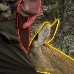 The Rousseauian Deer (DEER) Price Prediction