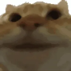 yepcat (YEP)