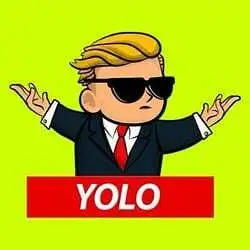 YOLO (YOLO)