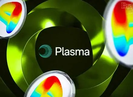 大户疯抢，Plasma的XPL公售有多香？