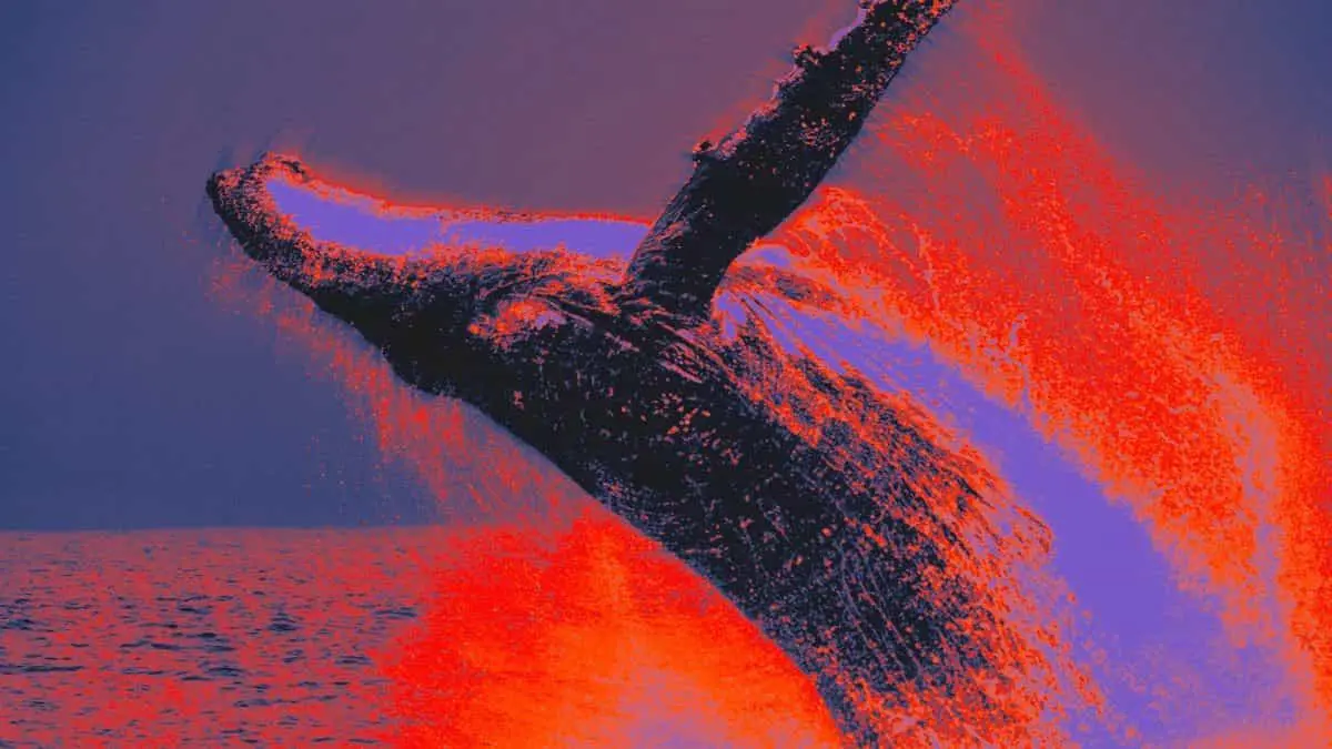 bitcoin-whale-moves-20-million-worth-btc