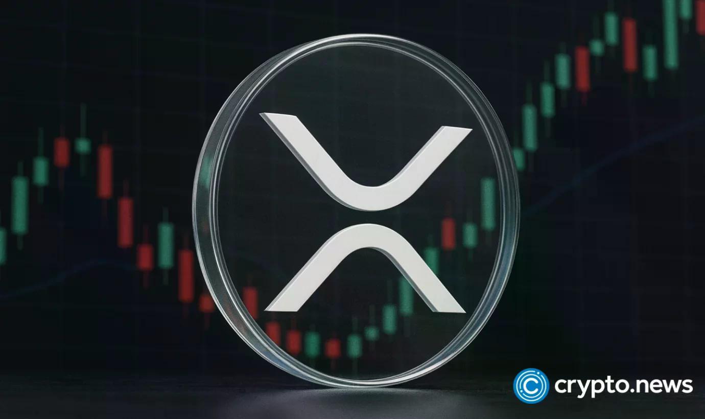 evernorth-xrp-names-openai-cfo-to-its-board