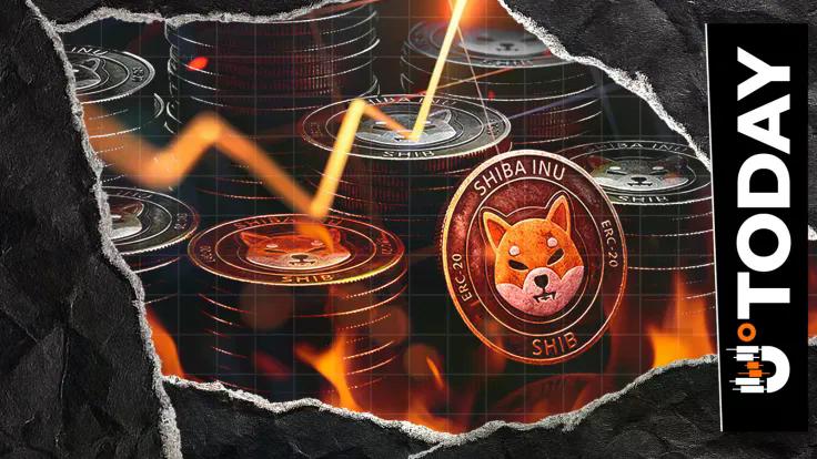 shiba-inu-surpasses-20000-burn-transactions-with-4108-of-supply-burned