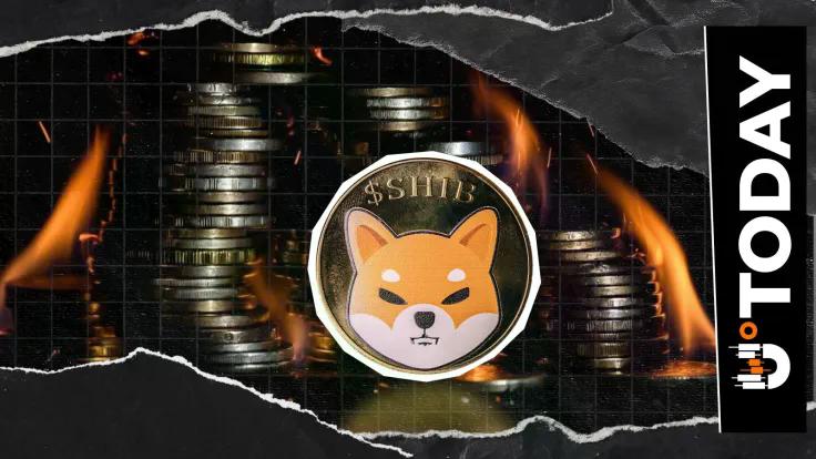 shiba-inu-sees-strong-network-activity-as-burn-rate-rockets-2332