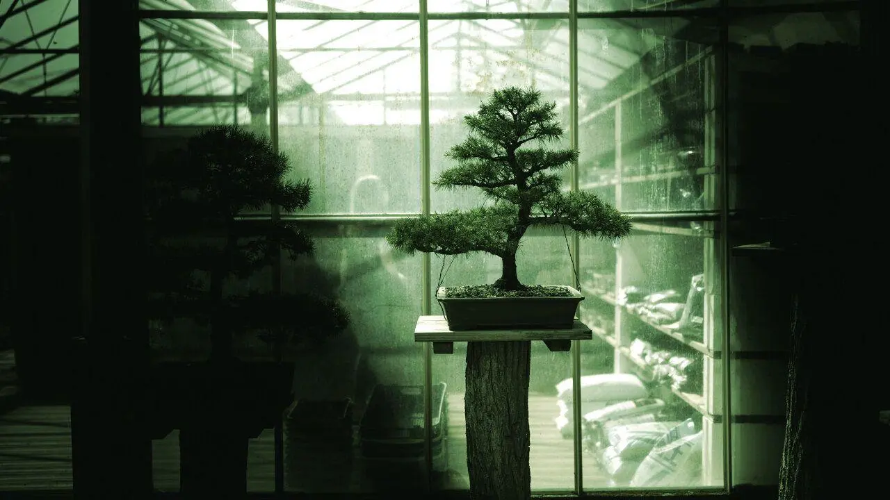 meet-bonsai-first-27b-ai-model-fits-phone