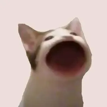 What is POPCAT