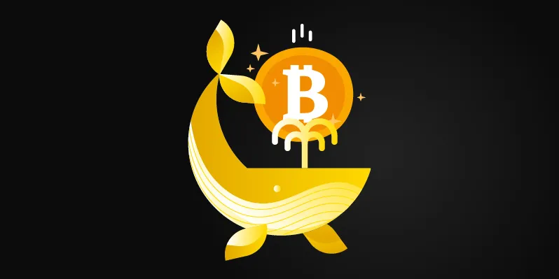 What Are Crypto Whales and How Can You Spot Them?