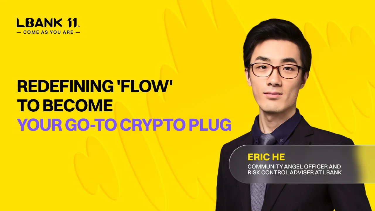 Beyond the Frame: Redefining 'Flow' to Become Your Go-To Crypto Plug